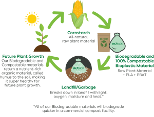 The biodegradable material structure cycle.